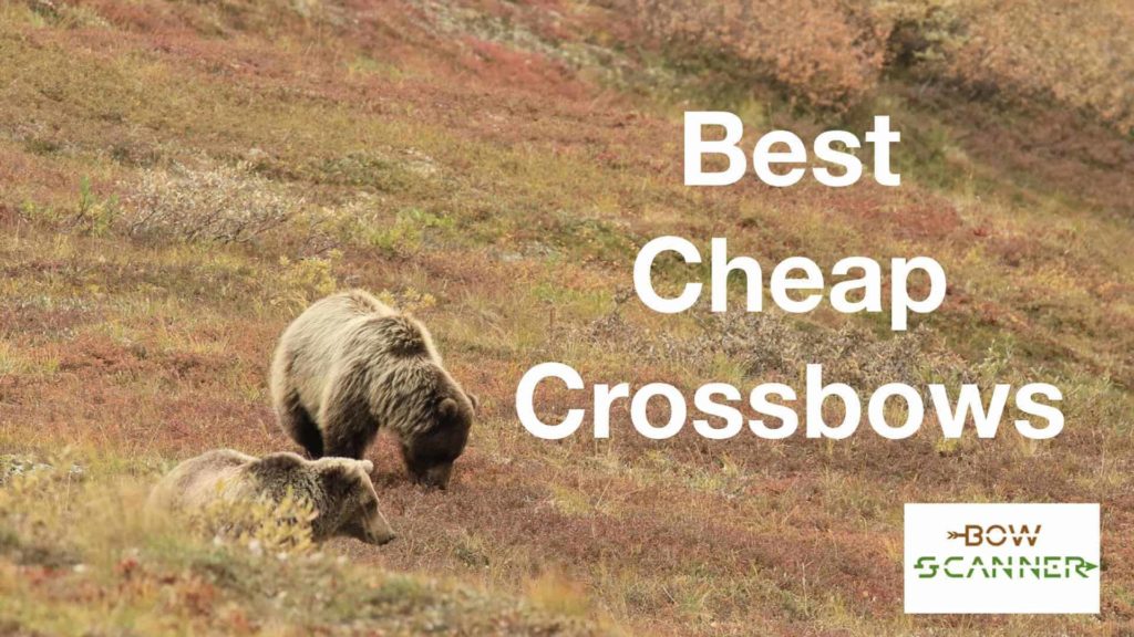 Best cheap crossbows