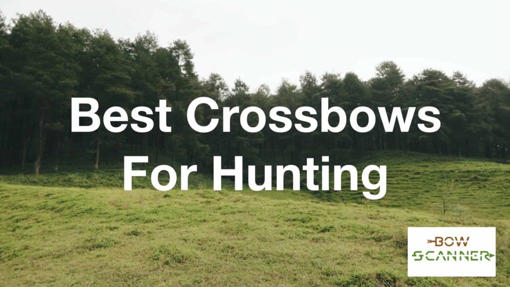 Best crossbows for hunting