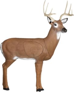 Best archery deer target for the money is the Delta Bloodline Buck