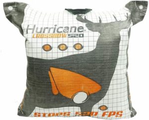 Best archery target bag for the money is the field logic hurricane