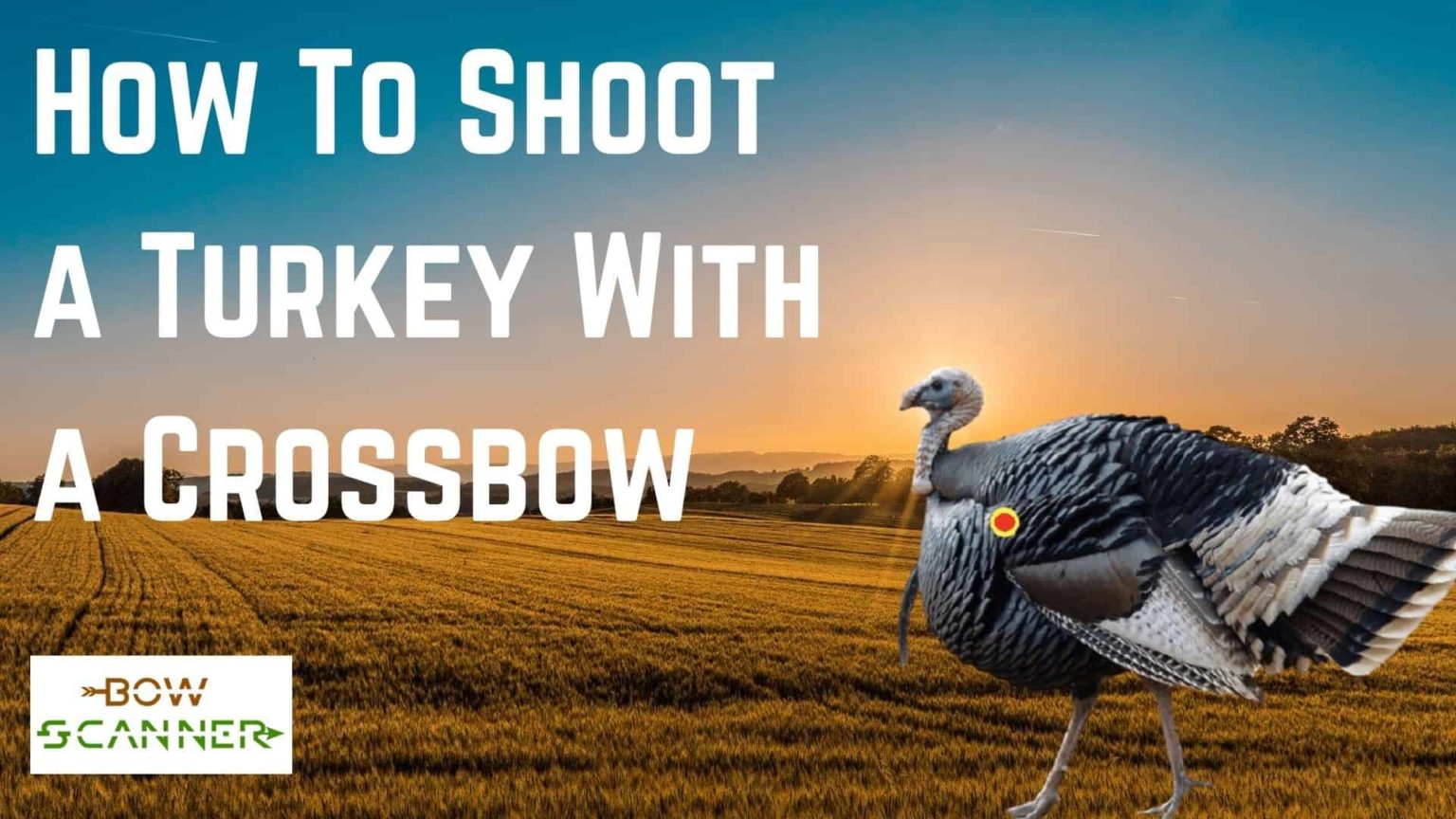 Where To Shoot A Turkey With A Crossbow