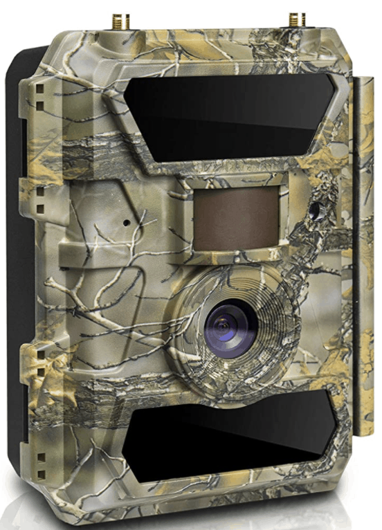 best trail camera for the money